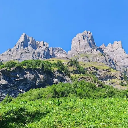 شقة Alpine Siesta *