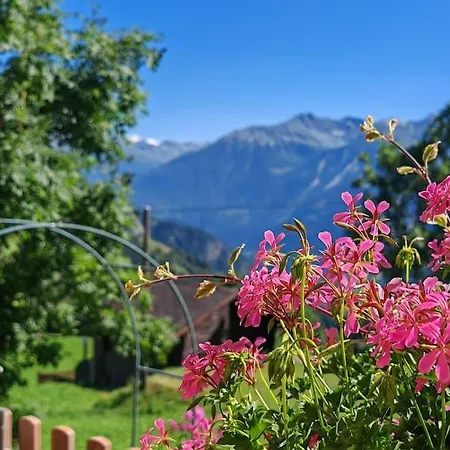 Alpine Siesta لوكباد