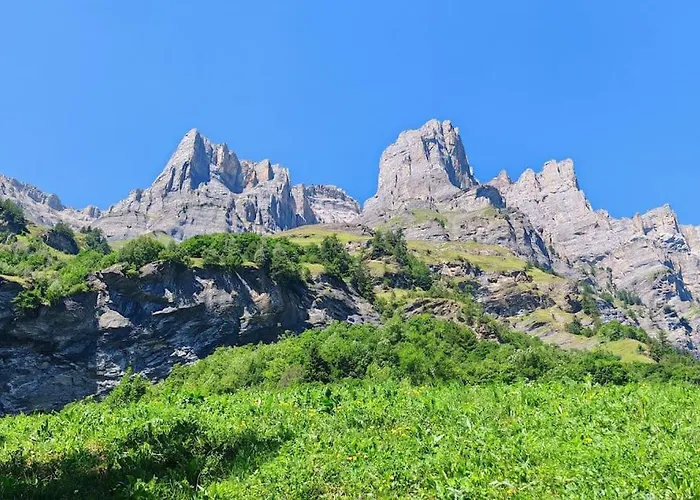 公寓 Alpine Siesta *